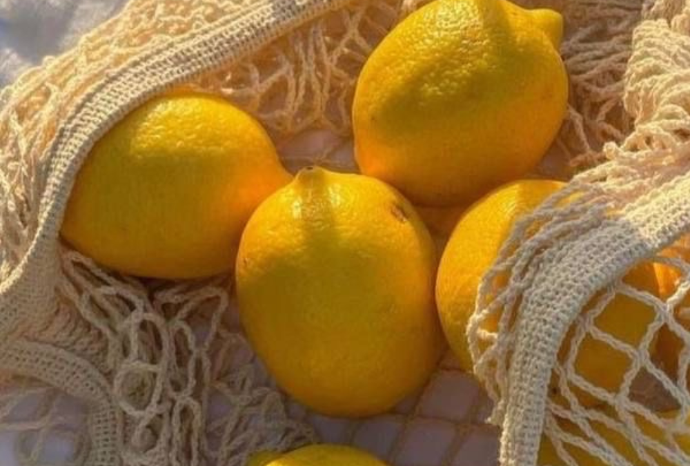 Nährstoffe ab 40 – was dein Körper jetzt wirklich braucht