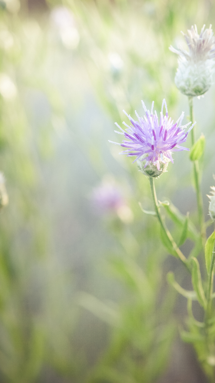 Warum dein Bauchfett eigentlich eine kleine Steuerzentrale ist