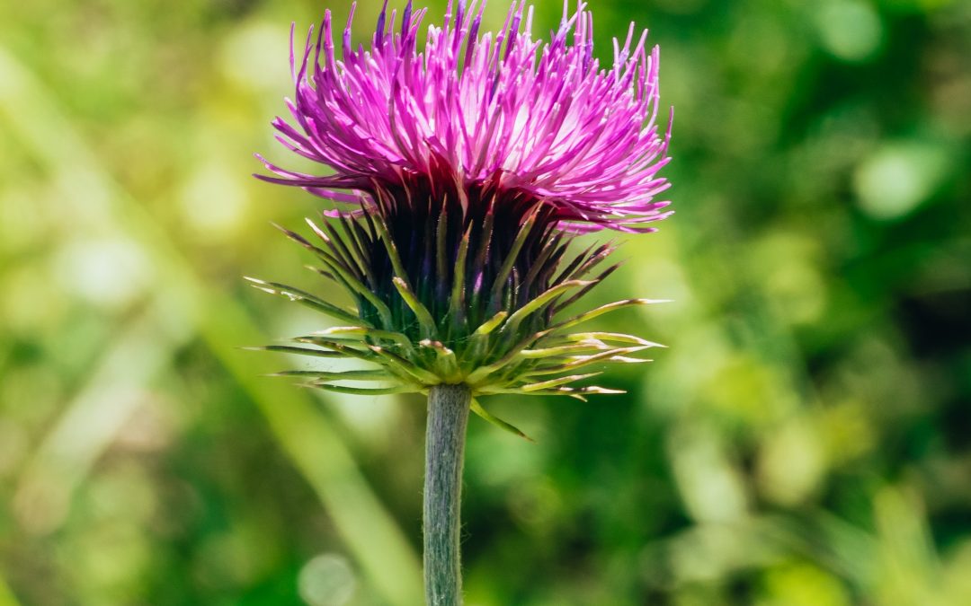 Hormone und warum die Pfunde nicht purzeln
