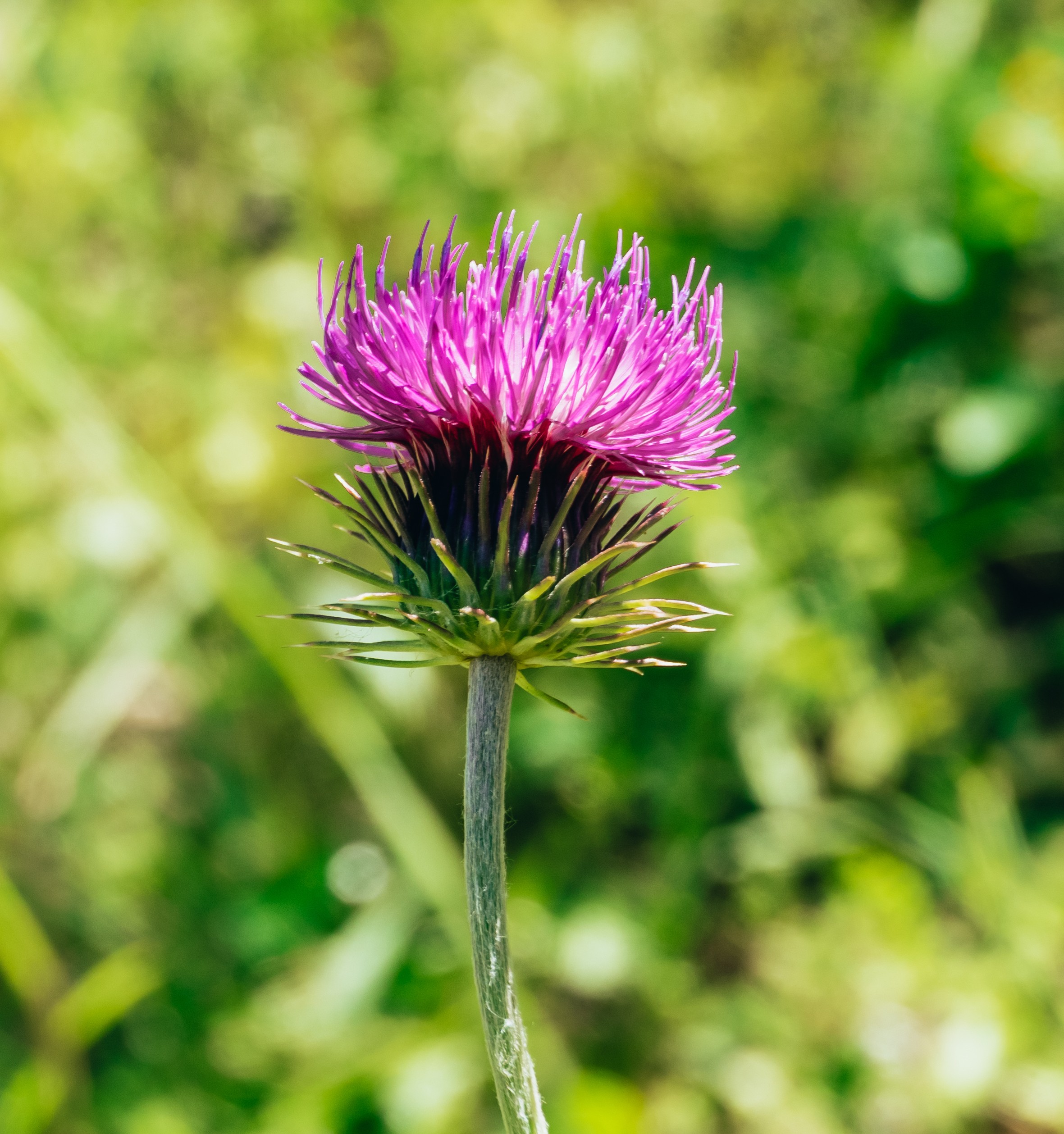 Hormone und warum die Pfunde nicht purzeln
